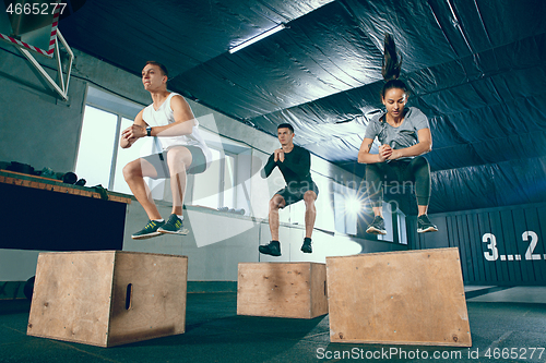 Image of Group of sporty muscular people are working out in gym.