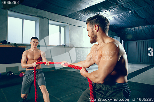 Image of Two muscular athletes training, working out with rope