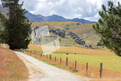 Image of Landscape scenery in south New Zealand