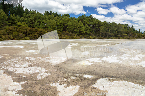 Image of geothermal activity at Rotorua in New Zealand