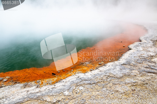 Image of hot sparkling lake in New Zealand