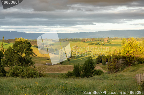 Image of typical rural landscape in New Zealand