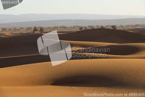 Image of Big sand dunes in Sahara desert