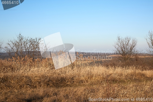 Image of Countriside dirt road landscape, pale autumn