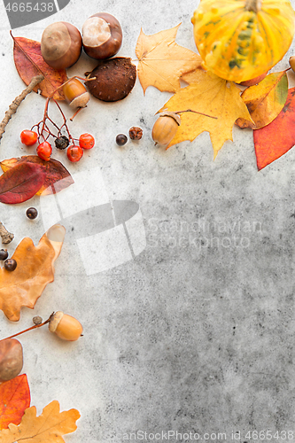 Image of autumn leaves, chestnuts, acorns and berries frame