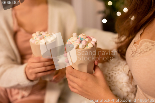 Image of two women drinking hot chocolate with marshmallow