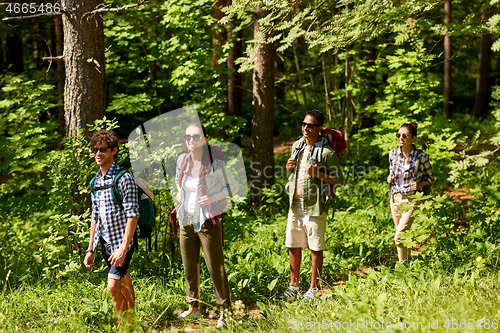 Image of group of friends with backpacks hiking in forest