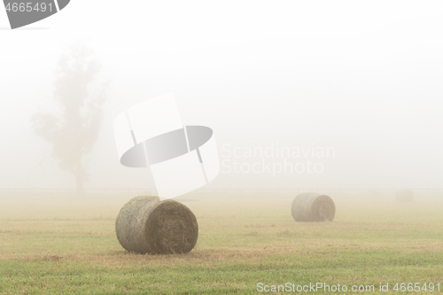 Image of Hay bales in a foggy field in country NSW Australia