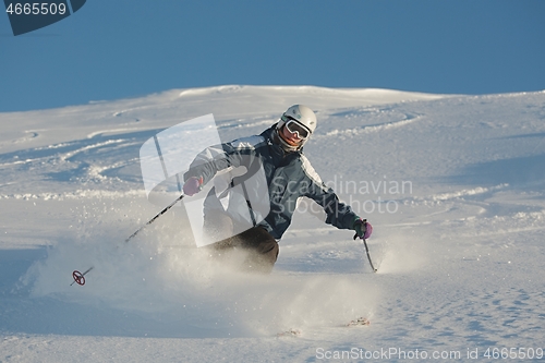 Image of Skiing in fresh powder snow