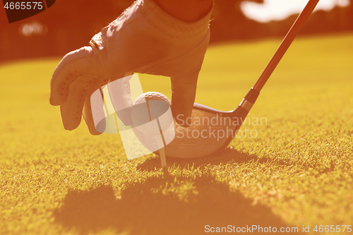 Image of golf player placing ball on tee