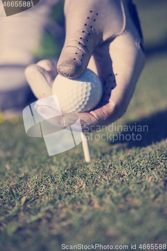 Image of golf player placing ball on tee