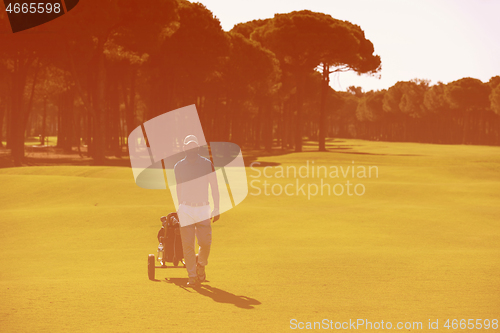 Image of golf player walking with wheel bag