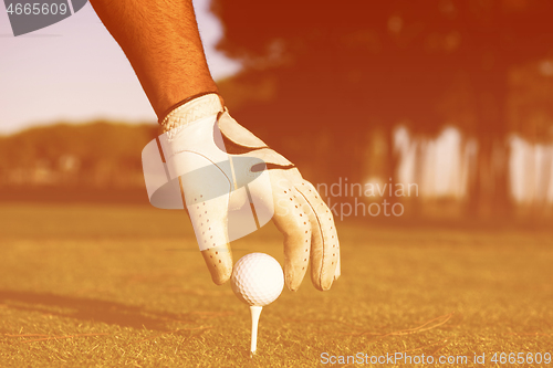 Image of close up of golf players hand placing ball on tee