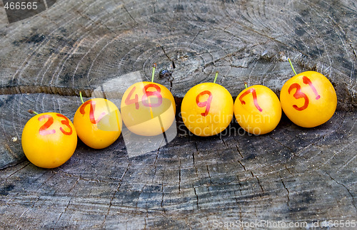 Image of lottery plums on wood