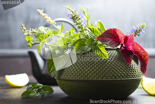 Image of teapot and herb