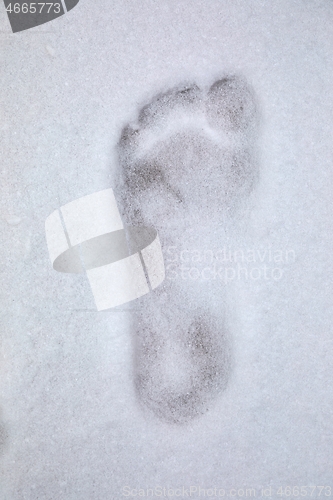 Image of Footprint barefoot in snow