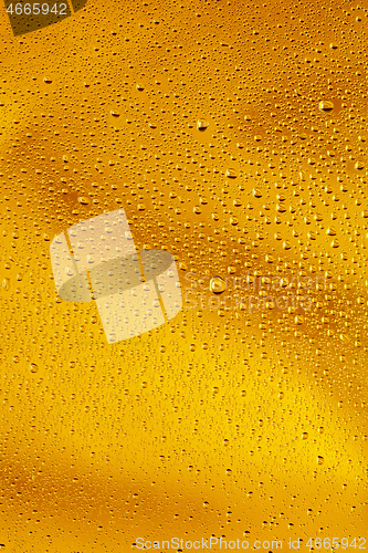 Image of Close up view of cold drops on the glass of beer