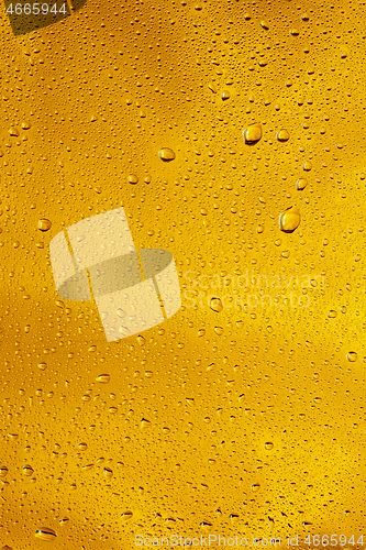 Image of Close up view of cold drops on the glass of beer