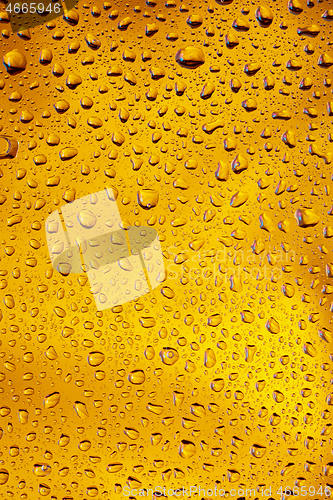 Image of Close up view of cold drops on the glass of beer