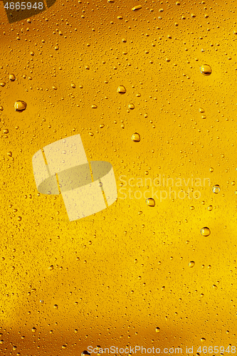 Image of Close up view of cold drops on the glass of beer