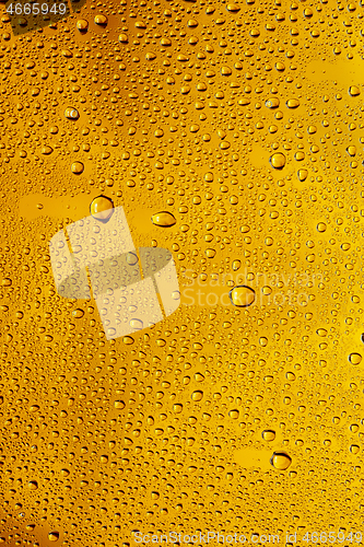 Image of Close up view of cold drops on the glass of beer