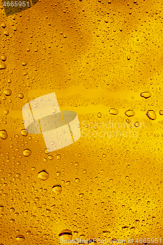 Image of Close up view of cold drops on the glass of beer