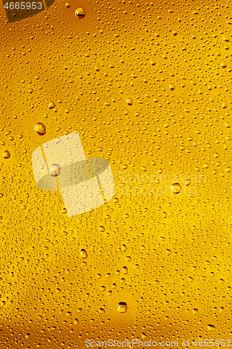 Image of Close up view of cold drops on the glass of beer