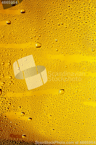 Image of Close up view of cold drops on the glass of beer