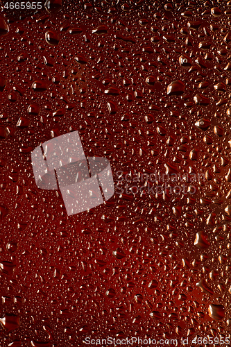 Image of Close up view of cold drops on the glass of beer