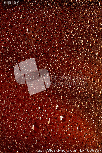 Image of Close up view of cold drops on the glass of beer