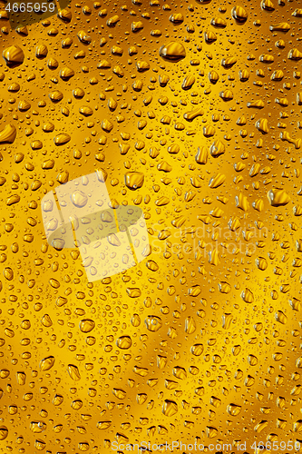 Image of Close up view of cold drops on the glass of beer