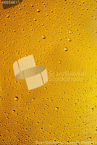 Image of Close up view of cold drops on the glass of beer