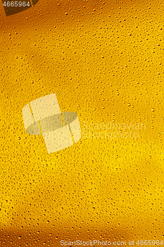 Image of Close up view of cold drops on the glass of beer