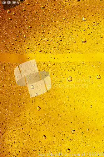 Image of Close up view of cold drops on the glass of beer