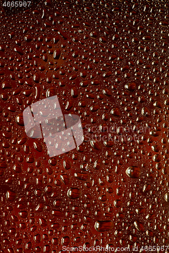 Image of Close up view of cold drops on the glass of beer