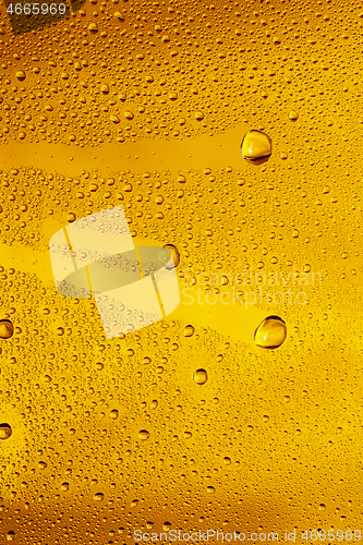 Image of Close up view of cold drops on the glass of beer