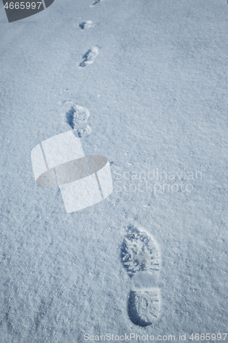 Image of Fresh snow with morning sunlight with foot prints