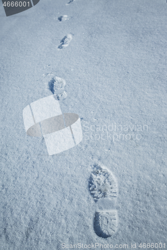 Image of Fresh snow with morning sunlight with foot prints