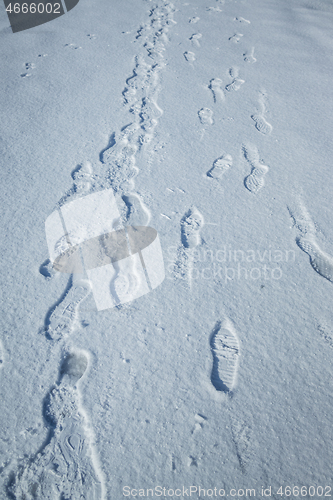 Image of Fresh snow with morning sunlight with foot prints