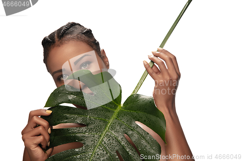 Image of Portrait of beautiful african-american woman isolated on white studio background. Beauty, fashion, skincare, cosmetics concept.