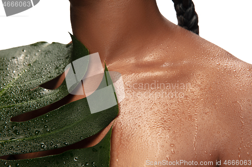 Image of Portrait of beautiful african-american woman isolated on white studio background. Beauty, fashion, skincare, cosmetics concept.