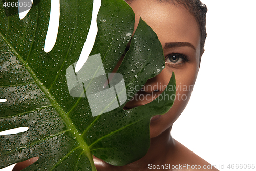 Image of Portrait of beautiful african-american woman isolated on white studio background. Beauty, fashion, skincare, cosmetics concept.