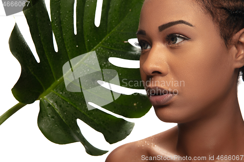 Image of Portrait of beautiful african-american woman isolated on white studio background. Beauty, fashion, skincare, cosmetics concept.