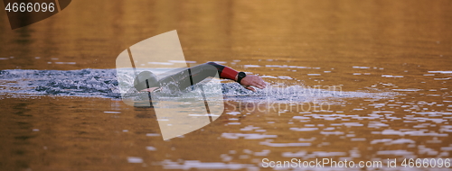 Image of triathlon athlete swimming on lake in sunrise wearing wetsuit