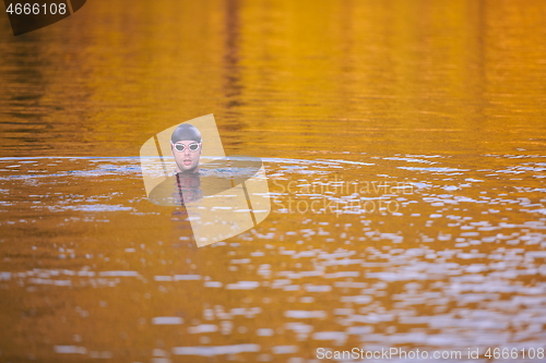 Image of triathlon athlete swimming on lake in sunrise wearing wetsuit