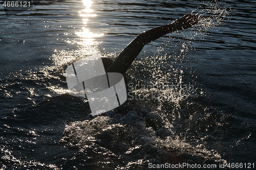 Image of triathlon athlete swimming on lake in sunrise wearing wetsuit