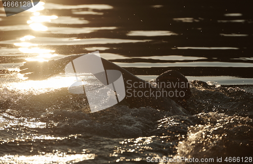 Image of triathlon athlete swimming on lake in sunrise wearing wetsuit