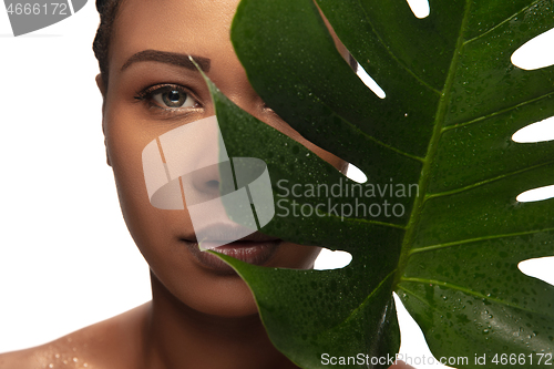 Image of Portrait of beautiful african-american woman isolated on white studio background. Beauty, fashion, skincare, cosmetics concept.