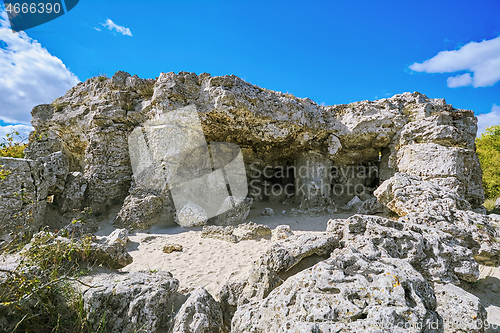 Image of The Stone Desert