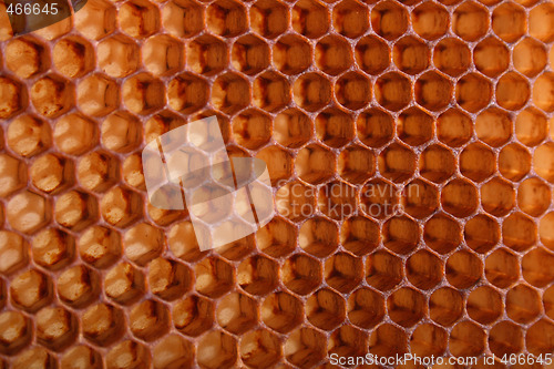 Image of honey background